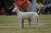 Profile picture of the animal