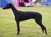 Profile picture of the animal