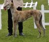 Profile picture of the animal